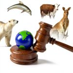 Environmental Law Institute 1st Edition Kindle Book-0