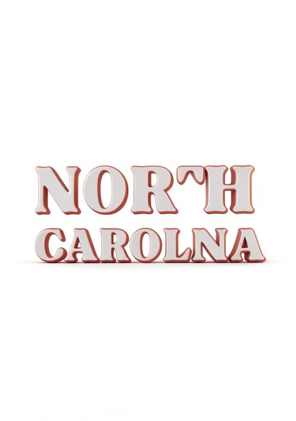 North Carolina Travel Guide Kindle eBook by Amazon Enhanced-0